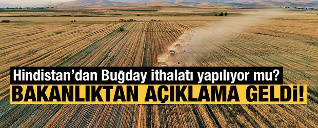 Bakanlıktan 'buğday ithalatı' iddiasına yalanlama